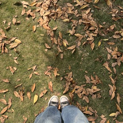 Fall: Nature’s Suicide